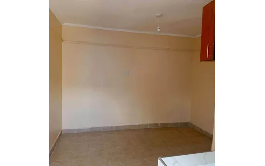 Bedsitter for Rent in Njoro