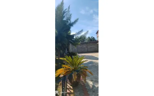 Five bedrooms for Rent in Nakuru