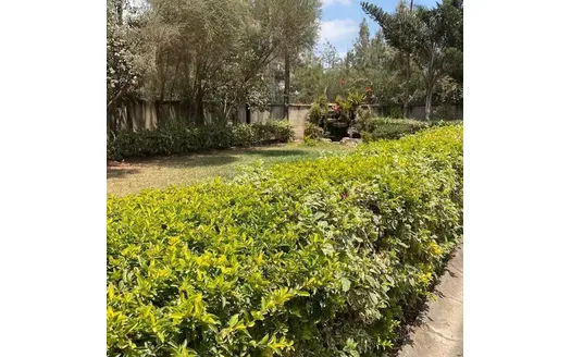 Four bedrooms for Rent in Nairobi
