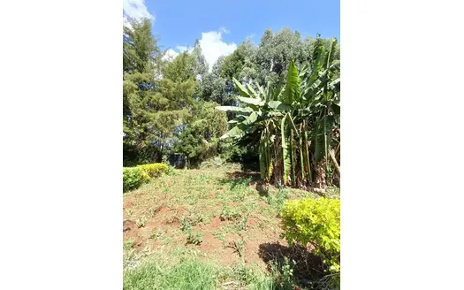 Four bedrooms for Rent in Eldoret