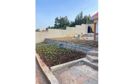 Three bedrooms for Rent in 