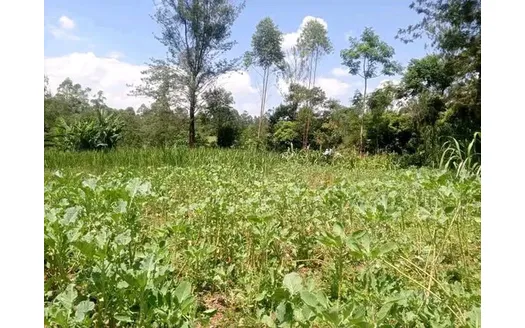 Two bedrooms for Rentals in Majengo